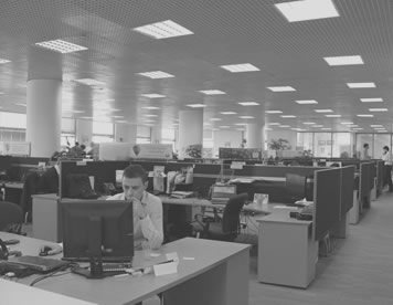 Labour Law